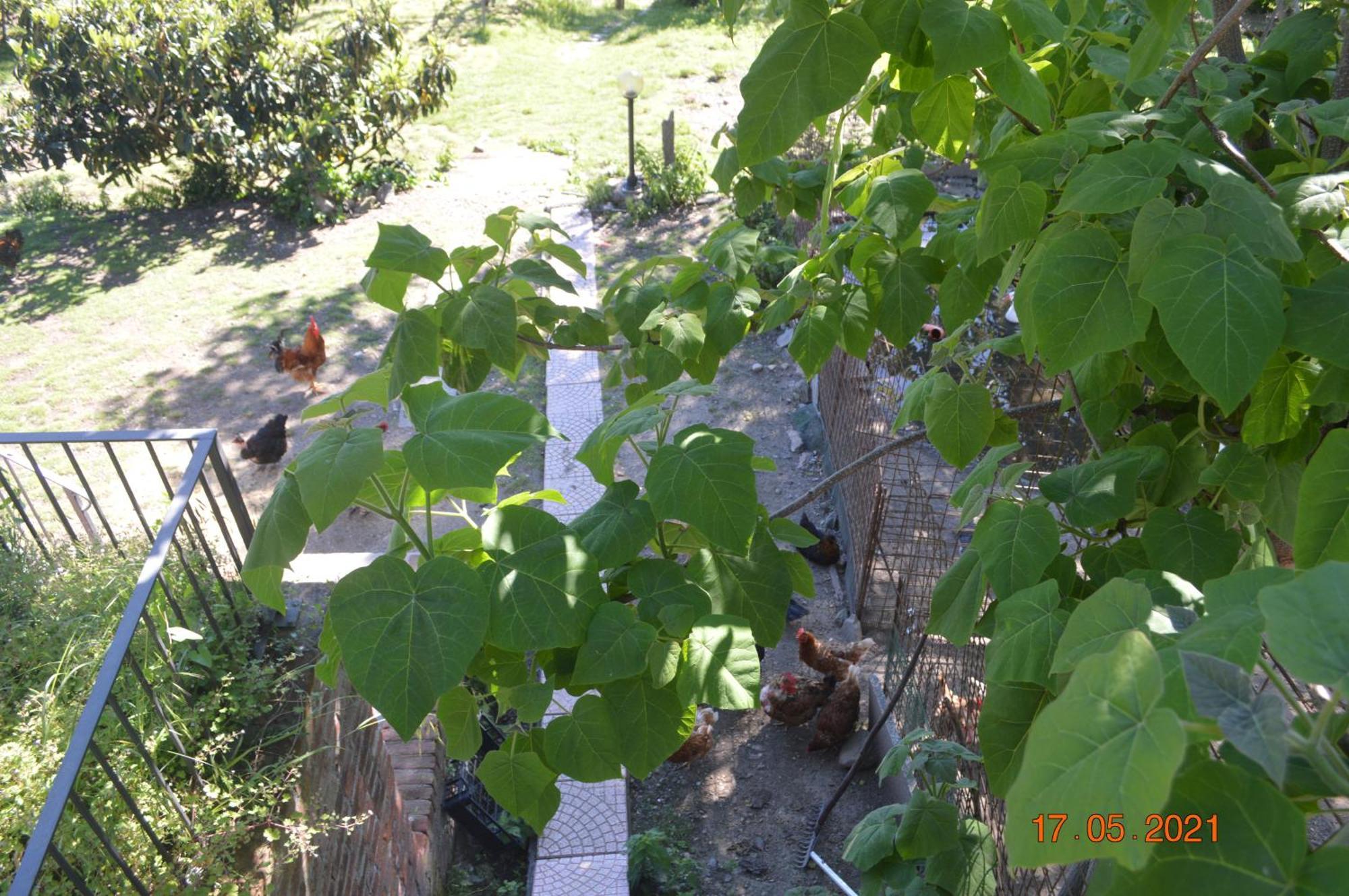 B&B Cascina Bedria Ivrea Exterior photo